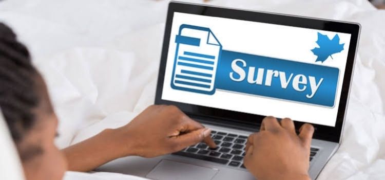 Survey websites