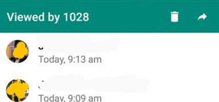 why you need whatsapp status