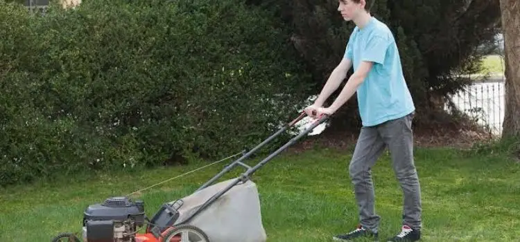 LAWN MOWING