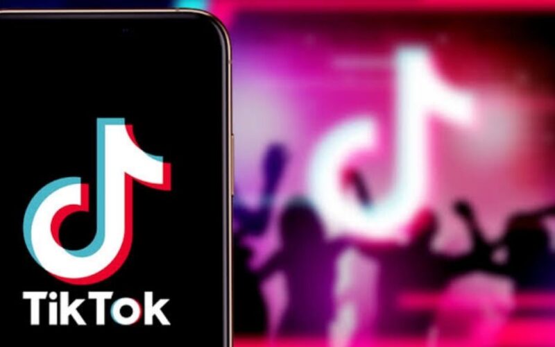 How Much Money Can You Make on TikTok with 10k Followers?