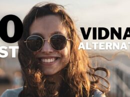 50 best vidnami alternatives