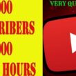 how to get 1000 subscribers and 4000 watch hours fast and easy