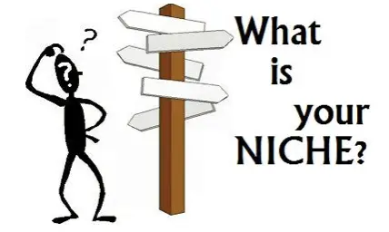 what is a niche